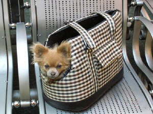 small dog carrier - doggy bag